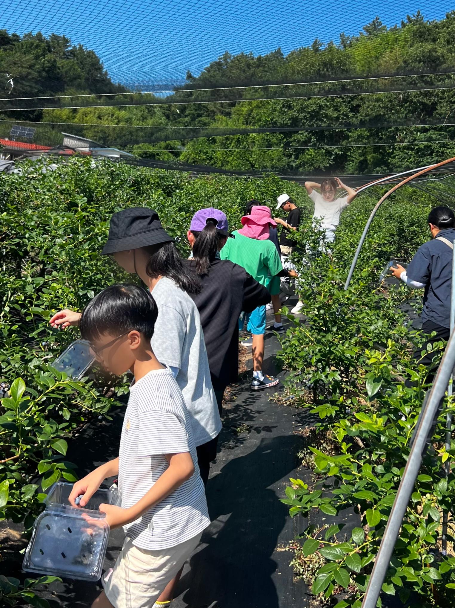 KakaoTalk_20250701_154056497_03.png.jpg